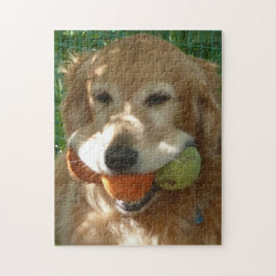 Gouden Retriever & Tennisballen Puzzel