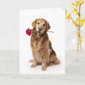 Gouden Retriever Valentijnsdag Kaart (Gele Bloem)