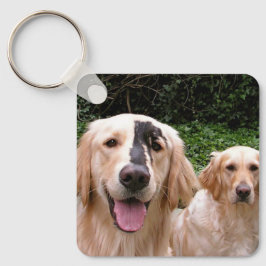 Gouden Retrievers Peter Fox en Moeder Sleutelhange Sleutelhanger