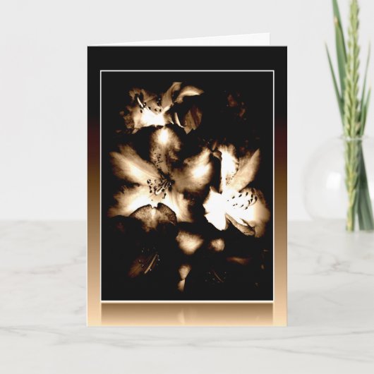 Gouden Rhodos kaart (Voorkant)