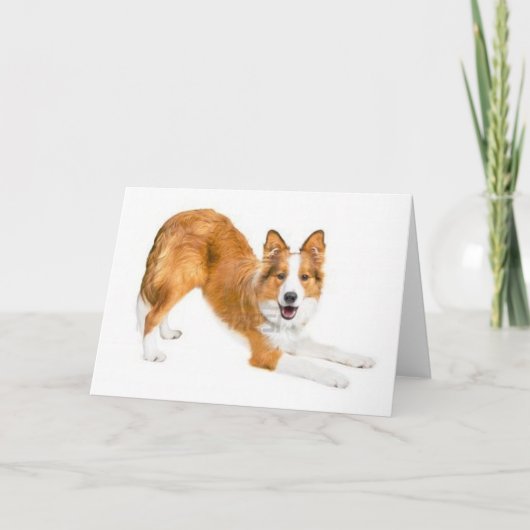 Gouden Rood Border collie Notecard Kaart (Voorkant)