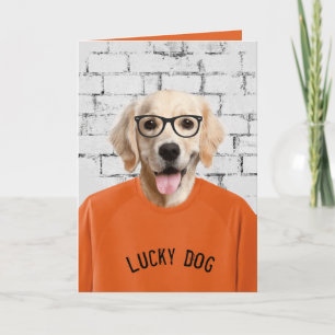 gouden rugleuning in t-shirt kaart