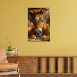 Gouden Sluimering zachte Veulen Poster