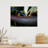 Gouden stofdag Gecko bij de ventilator Poster (Keuken)