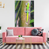 Gouden Stofgekko "goudstof gekko", gekko, tropisch Canvas Afdruk (Insitu (Woonkamer))