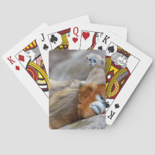 Gouden Stompneusaap Vader met Baby Pokerkaarten