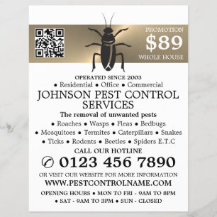 Gouden strook - Zwarte kakkerlak - ongediertebestr Flyer