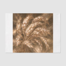 Gouden Tarwe
