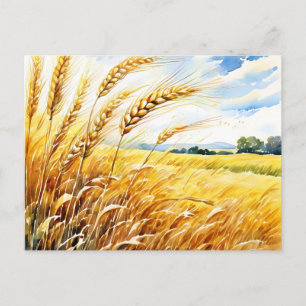 Gouden tarweveld schommelend in de zomer briefkaart