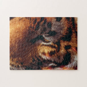 Gouden Tijgeroog Close-Up Wildlife  Legpuzzel