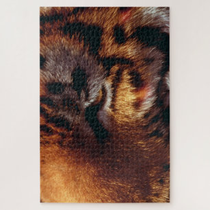 Gouden Tijgeroog Close-Up Wildlife  Legpuzzel