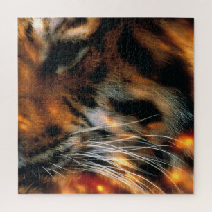 Gouden Tijgeroog Close-Up Wildlife  Legpuzzel