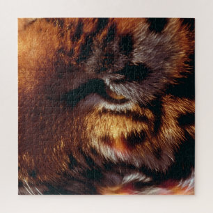 Gouden Tijgeroog Close-Up Wildlife  Legpuzzel