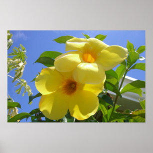 Gouden Trompet Bloemen I Poster