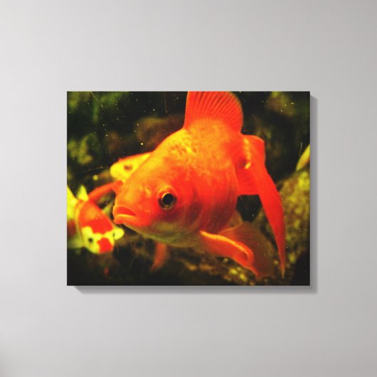 Gouden vis canvas afdruk (Voorkant)