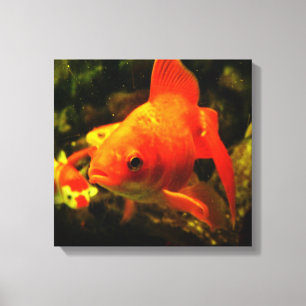 Gouden vis canvas afdruk