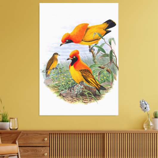 gouden vogel van het paradijs canvas afdruk (Insitu (Woonkamer))