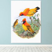 gouden vogel van het paradijs canvas afdruk (Insitu (Houten vloer))