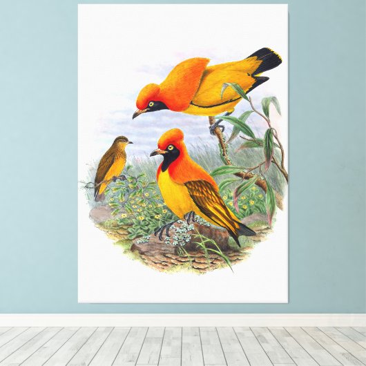 gouden vogel van het paradijs canvas afdruk (Insitu (Houten vloer))