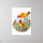 gouden vogel van het paradijs canvas afdruk (Voorkant)