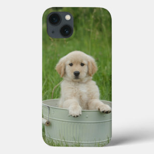 Gouden wasser in het wasbekken iPhone 13 hoesje