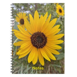 Gouden Zonnebloem Bloemen Notitieboek