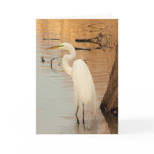 goudgevouwen Wenskaart