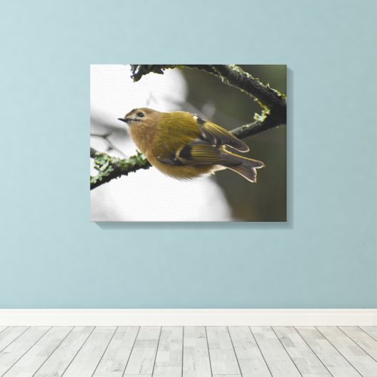 Goudhaan canvas afdruk (Insitu (Houten vloer))