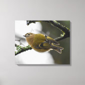 Goudhaan canvas afdruk (Voorkant)