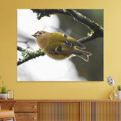 Goudhaan canvas afdruk (Insitu (Woonkamer))