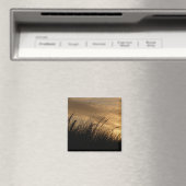 goudhemel magneet (Insitu (Vaatwasser))