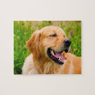 Goudkleurige retriever hond. legpuzzel
