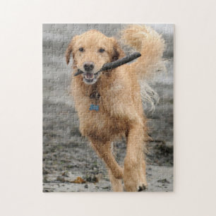 Goudkleurige Retriever Rent Met Stok In Mond Legpuzzel
