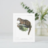 Goudluipaard Briefkaart (Staand voorkant)