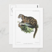 Goudluipaard Briefkaart (Voorkant / Achterkant)