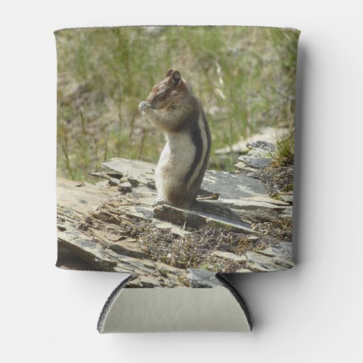 Goudmantel bij Gletsjer I Blikjeskoeler (Voorkant)