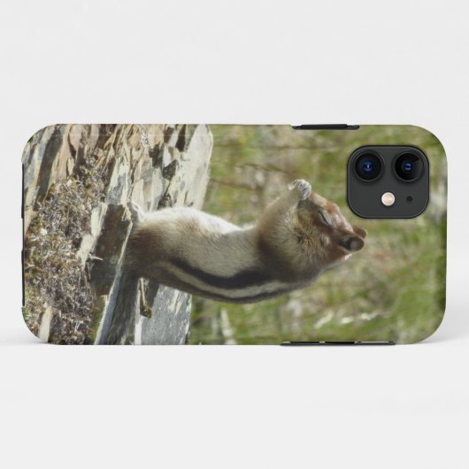 Goudmantel bij Gletsjer I Case-Mate iPhone Case (Achterkant (horizontaal))