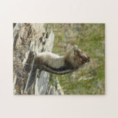 Goudmantel bij Gletsjer I Legpuzzel (Horizontaal)