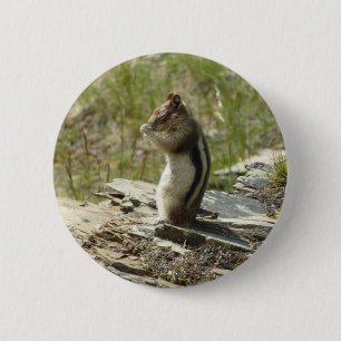 Goudmantel bij Gletsjer I Ronde Button 5,7 Cm