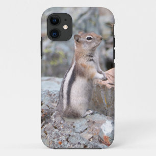 Goudmantelgrondeekhoorn bij Glacier II iPhone 11 Hoesje