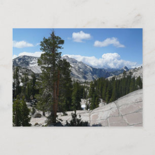 Goudpunt III in het nationaal park Yosemite Briefkaart