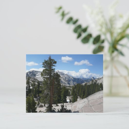 Goudpunt III in het nationaal park Yosemite Briefkaart (Staand voorkant)