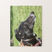 Goudpuzzel (p498) legpuzzel (Verticaal)