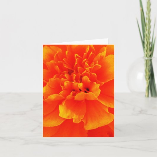 Goudsbloem Kaart (Voorkant)