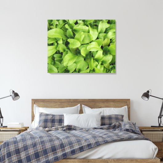 goudsbloem zaailingen canvas print (Insitu (Slaapkamer))