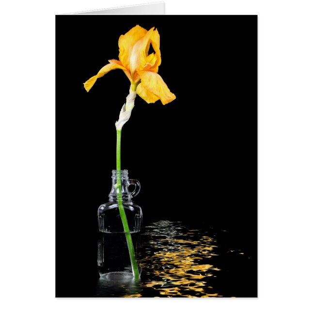 Goudstrijkjes in  fles (Voorkant)