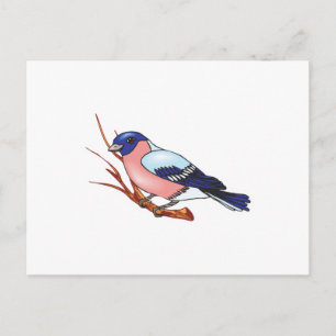goudvink vogel briefkaart