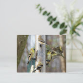 Goudvinken bij de feeder briefkaart (Staand voorkant)