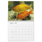 Goudvis 2024 kalender (Feb 2027)
