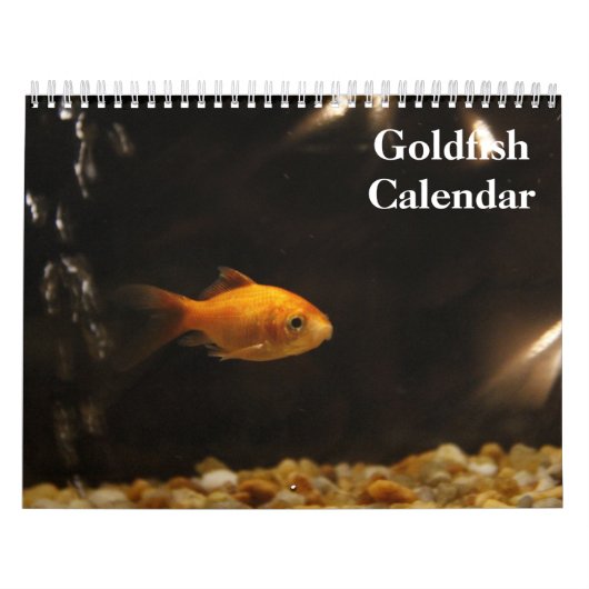 Goudvis 2025 kalender (Hoes)